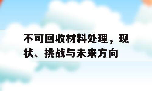 不可回收材料处理，现状、挑战与未来方向