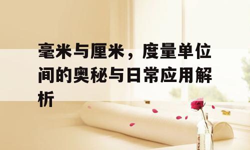 毫米与厘米，度量单位间的奥秘与日常应用解析
