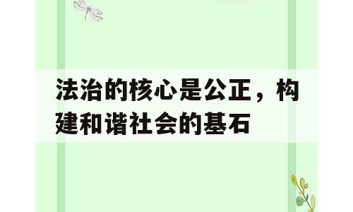 法治的核心是公正，构建和谐社会的基石