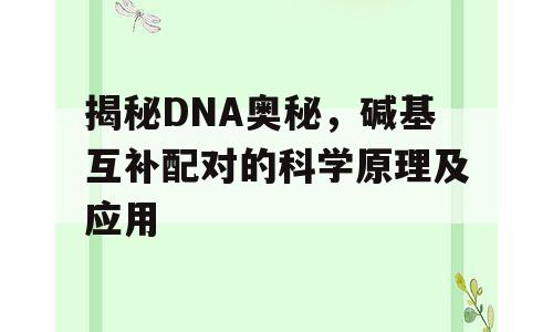 揭秘DNA奥秘，碱基互补配对的科学原理及应用