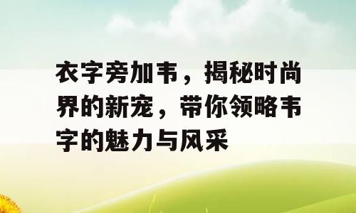 衣字旁加韦，揭秘时尚界的新宠，带你领略韦字的魅力与风采