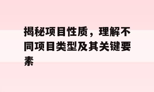 揭秘项目性质，理解不同项目类型及其关键要素
