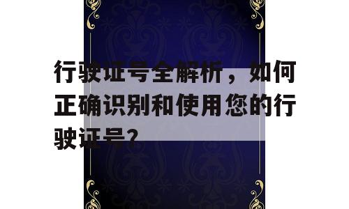 行驶证号全解析，如何正确识别和使用您的行驶证号？