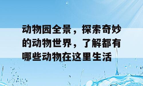 动物园全景，探索奇妙的动物世界，了解都有哪些动物在这里生活