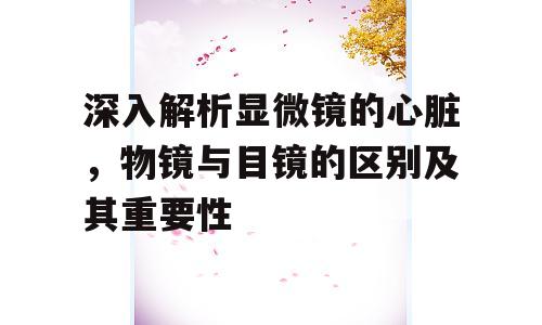 深入解析显微镜的心脏，物镜与目镜的区别及其重要性