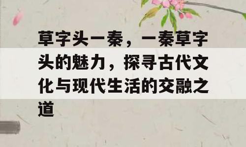 草字头一秦，一秦草字头的魅力，探寻古代文化与现代生活的交融之道