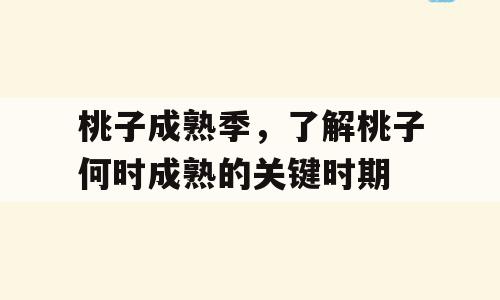 桃子成熟季，了解桃子何时成熟的关键时期