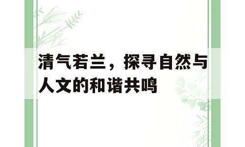 清气若兰，探寻自然与人文的和谐共鸣