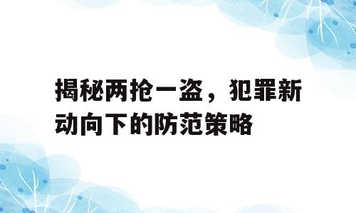 揭秘两抢一盗，犯罪新动向下的防范策略
