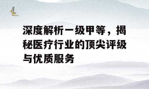 深度解析一级甲等，揭秘医疗行业的顶尖评级与优质服务