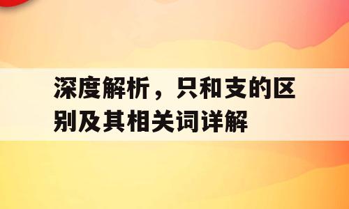 深度解析，只和支的区别及其相关词详解