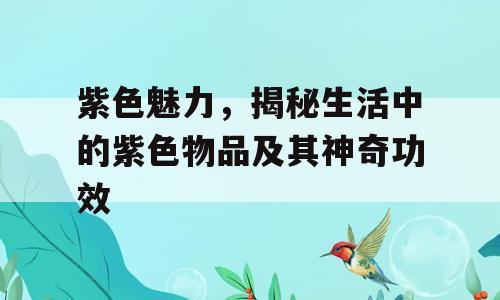 紫色魅力，揭秘生活中的紫色物品及其神奇功效