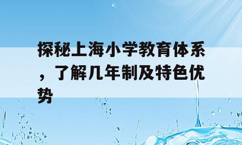 探秘上海小学教育体系，了解几年制及特色优势