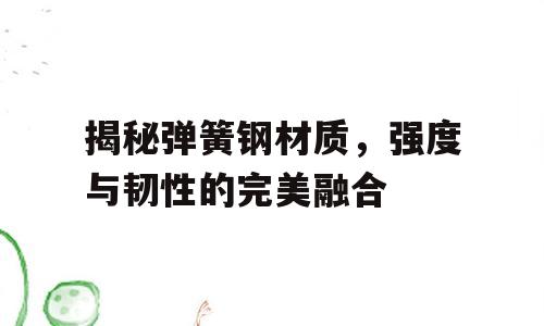 揭秘弹簧钢材质，强度与韧性的完美融合