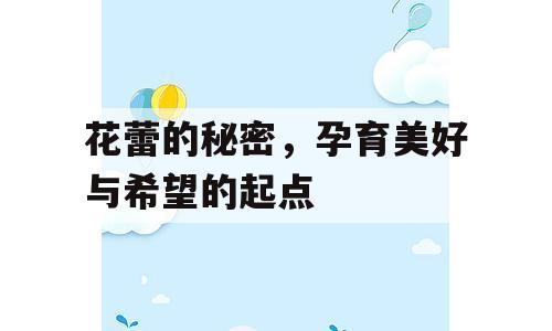 花蕾的秘密，孕育美好与希望的起点
