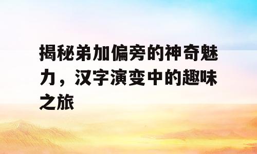 揭秘弟加偏旁的神奇魅力，汉字演变中的趣味之旅