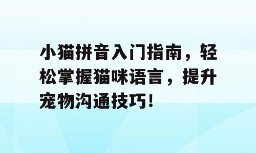 小猫拼音入门指南，轻松掌握猫咪语言，提升宠物沟通技巧！
