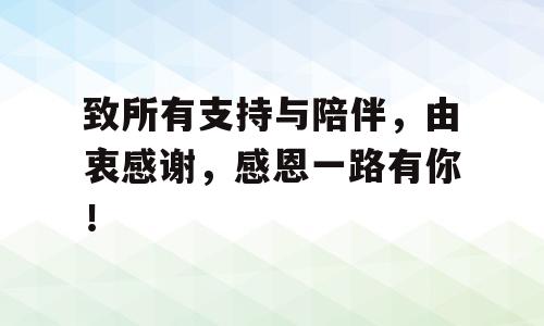 致所有支持与陪伴，由衷感谢，感恩一路有你！