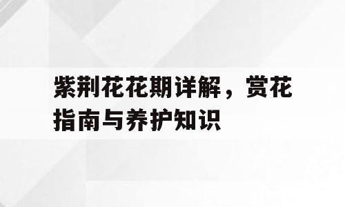 紫荆花花期详解，赏花指南与养护知识