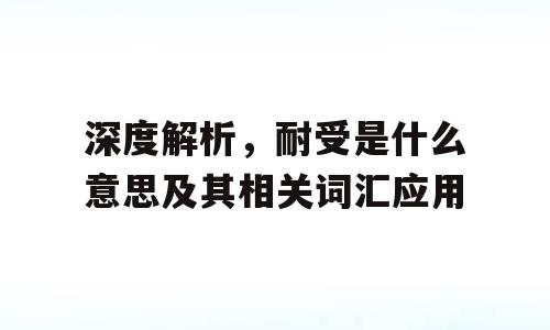 深度解析，耐受是什么意思及其相关词汇应用