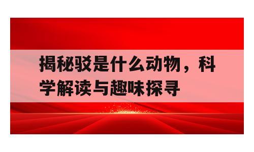 揭秘驳是什么动物，科学解读与趣味探寻