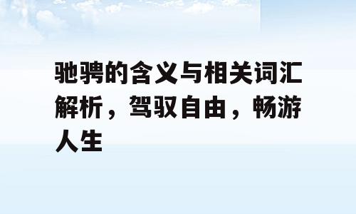 驰骋的含义与相关词汇解析，驾驭自由，畅游人生
