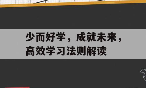 少而好学，成就未来，高效学习法则解读