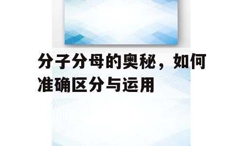 分子分母的奥秘，如何准确区分与运用