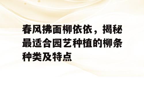 春风拂面柳依依，揭秘最适合园艺种植的柳条种类及特点