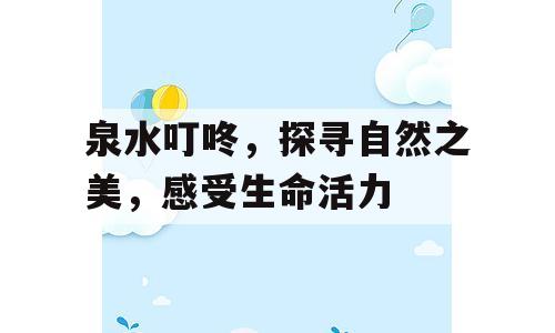 泉水叮咚，探寻自然之美，感受生命活力