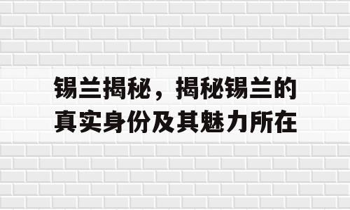 锡兰揭秘，揭秘锡兰的真实身份及其魅力所在