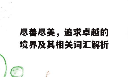 尽善尽美，追求卓越的境界及其相关词汇解析