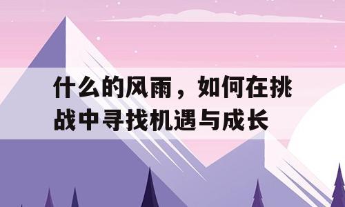 什么的风雨，如何在挑战中寻找机遇与成长