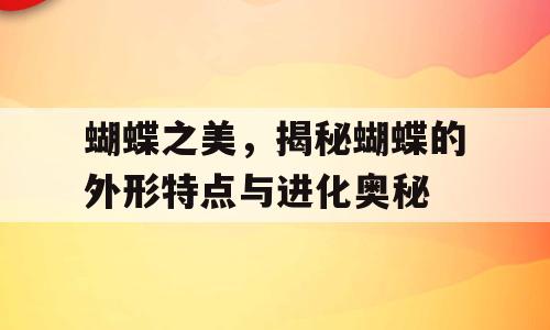 蝴蝶之美，揭秘蝴蝶的外形特点与进化奥秘