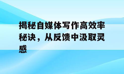 揭秘自媒体写作高效率秘诀，从反馈中汲取灵感