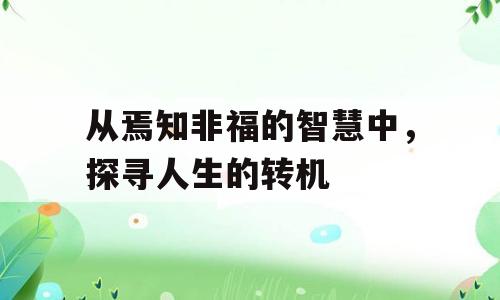 从焉知非福的智慧中，探寻人生的转机