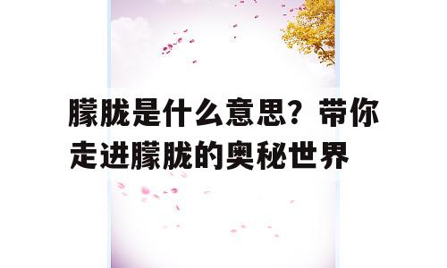 朦胧是什么意思？带你走进朦胧的奥秘世界