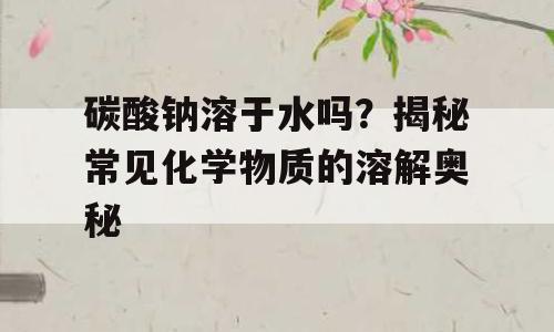 碳酸钠溶于水吗？揭秘常见化学物质的溶解奥秘