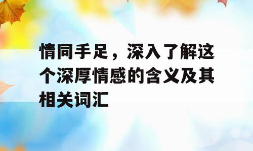情同手足，深入了解这个深厚情感的含义及其相关词汇