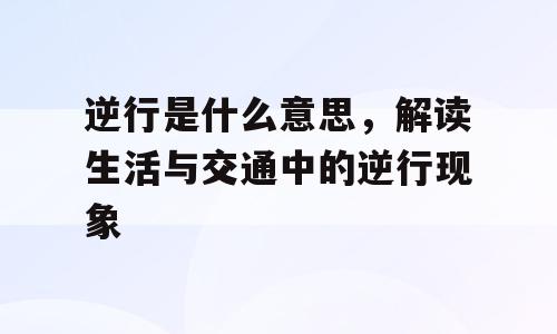 逆行是什么意思，解读生活与交通中的逆行现象