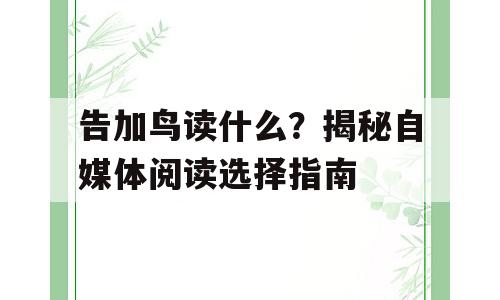 告加鸟读什么？揭秘自媒体阅读选择指南