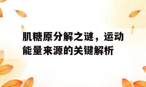 肌糖原分解之谜，运动能量来源的关键解析