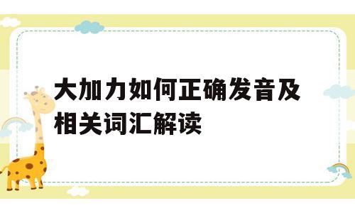 大加力如何正确发音及相关词汇解读