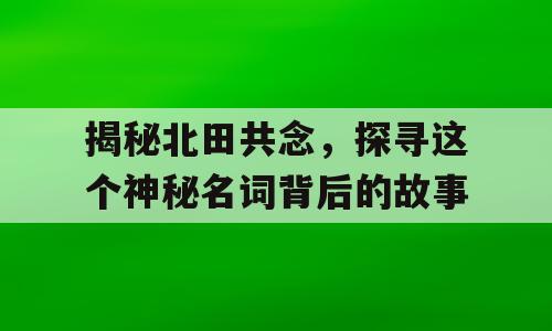 揭秘北田共念，探寻这个神秘名词背后的故事