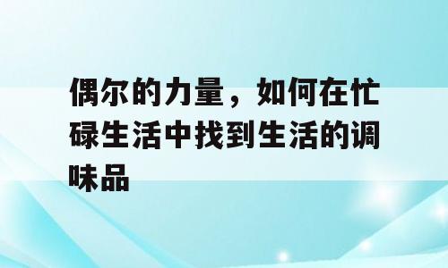 偶尔的力量，如何在忙碌生活中找到生活的调味品