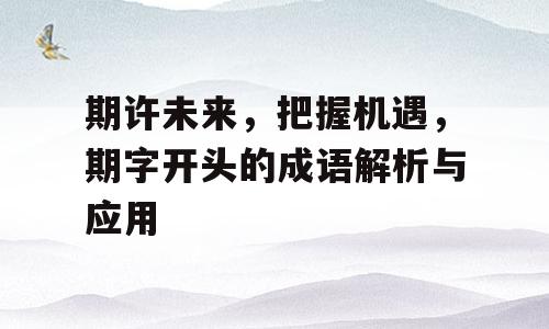 期许未来，把握机遇，期字开头的成语解析与应用