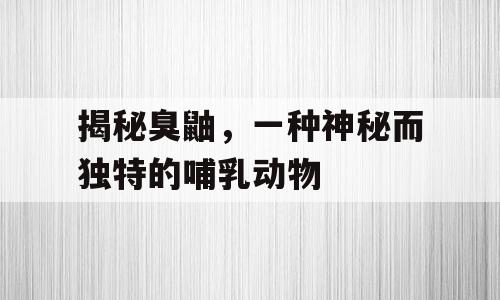揭秘臭鼬，一种神秘而独特的哺乳动物