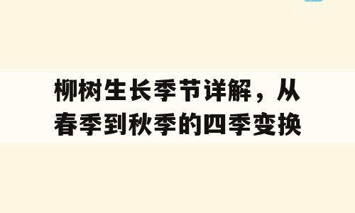 柳树生长季节详解，从春季到秋季的四季变换