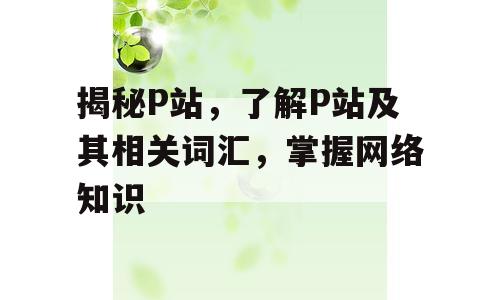 揭秘P站，了解P站及其相关词汇，掌握网络知识