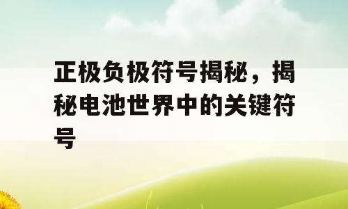 正极负极符号揭秘，揭秘电池世界中的关键符号